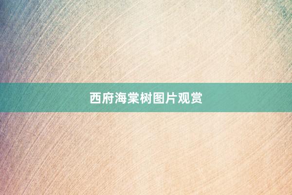 西府海棠树图片观赏