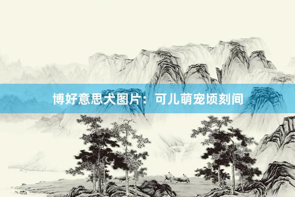 博好意思犬图片：可儿萌宠顷刻间